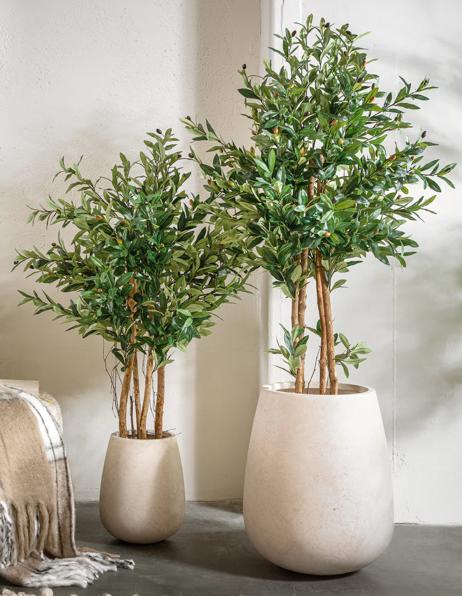 בית עציץ גדול